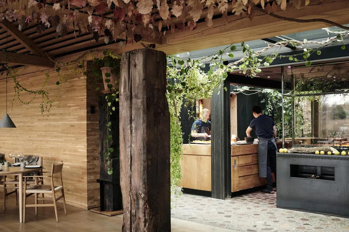 Two chefs cook in an open-air kitchen, decorated with leaves at Noma in Copenhagen on Dec. 2, 2022. A signature of Noma and its cuisine is its luxurious, modern-rustic aesthetic. (Ditte Isager/The New York Times)