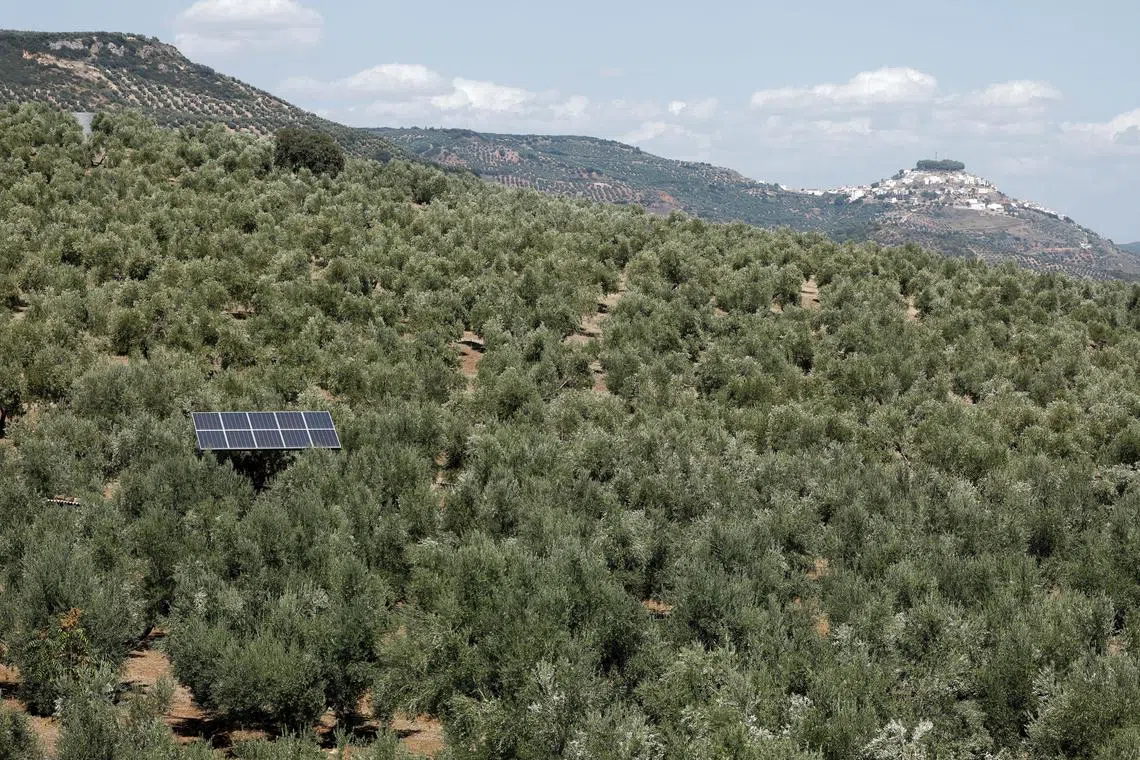 Solutions that address biodiversity or climate change in silo may be missing the forest for the trees.