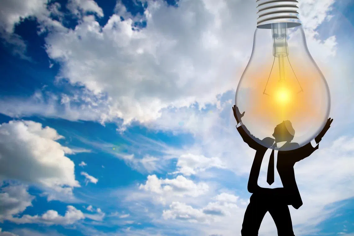 While there is impending pain for solar panel makers, there is also an opportunity for the survivors to focus more on domestic markets.