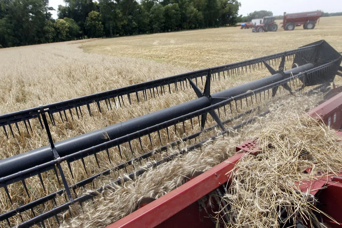 The price index, compiled by the UN Food and Agriculture Organization (FAO) to track the most globally traded food commodities, slipped to 120.7 points in August from a revised 121 in July.