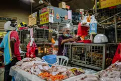 A poultry stall at a market in Kuala Lumpur. Malaysia will begin a suspension on chicken exports from June 1, a move that affects scores of countries including neighbouring Singapore.