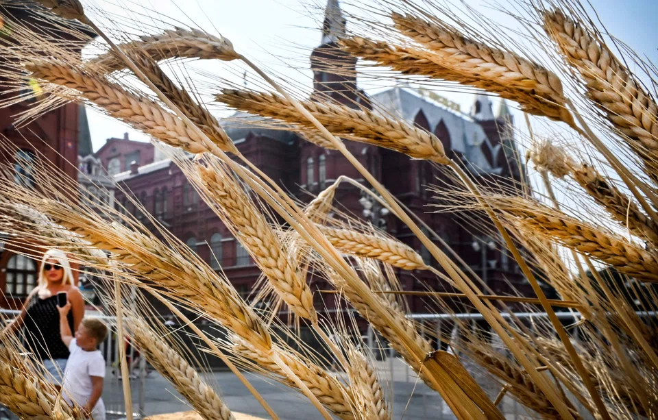 Russia has the upper hand in its embargo on Ukrainian wheat exports, as low global wheat prices mean it is unlikely to alienate allies in the Global South.