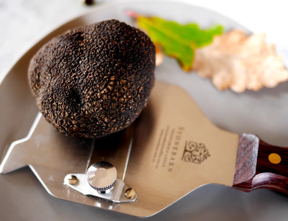 Black Périgord truffles vary in size from 3cm in diameter to the size of a large orange. 