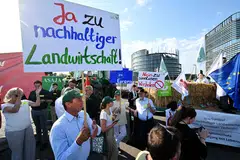 German farmers supporting the EU's Green Deal bill demonstrate in front of the European Parliament, in Strasbourg, eastern France, on Jul 11, 2023. 