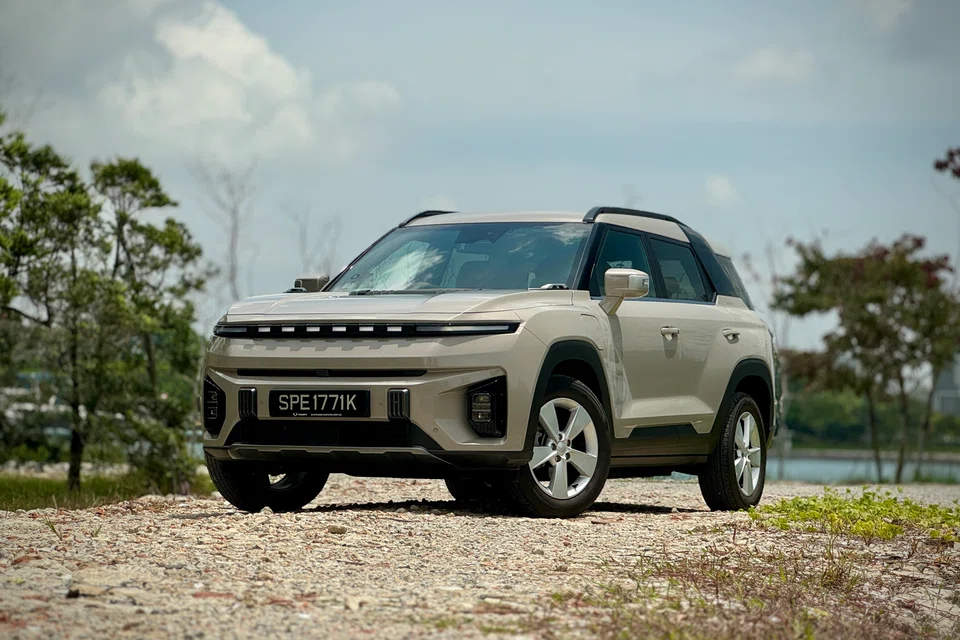 The Torres EVX, a medium SUV, hails from South Korea, and has a 204 horsepower motor driving the front wheels.