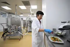 A scientist preparing salted egg CulinaPlant chunks at dsm-firmenich's new facility FutureBites, which was launched on Sep 18.