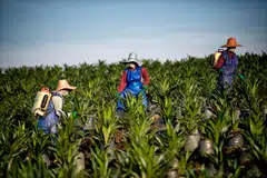 Guangzhou Yihai will appeal against the judgement by the Chinese court. 