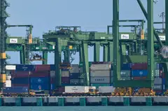 If successful in scaling up the use of green hydrogen, Singapore's maritime, aviation and manufacturing sectors can tap low-carbon hydrogen and decarbonise.