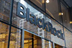 BlackRock is one of the lenders chasing growth in markets such as India.