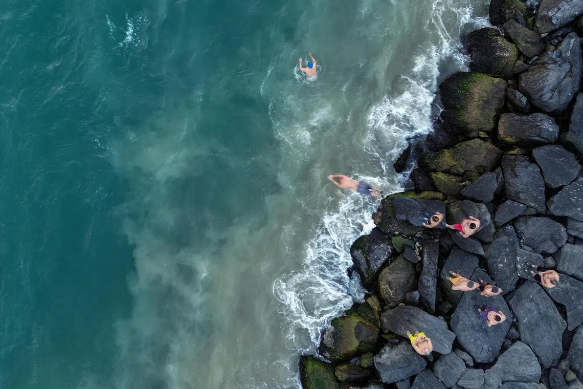 Scientists estimate around 30% of the carbon dioxide released by humans is absorbed by the oceans, playing a crucial role in climate regulation and reducing the rate of global warming.