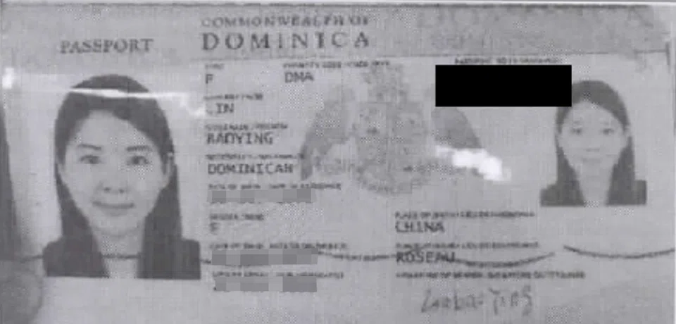 Lin Baoying, one of the 10 foreigners arrested in the S$3 billion money laundering case.