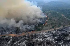 An area of Amazon rainforest deforested by illegal fire in the municipality of Labrea, Amazonas State, Brazil, Aug 20, 2024. The Amazon lost in less than four decades an area of forest almost as large as Colombia, according to a study by the RAISG monitoring network.