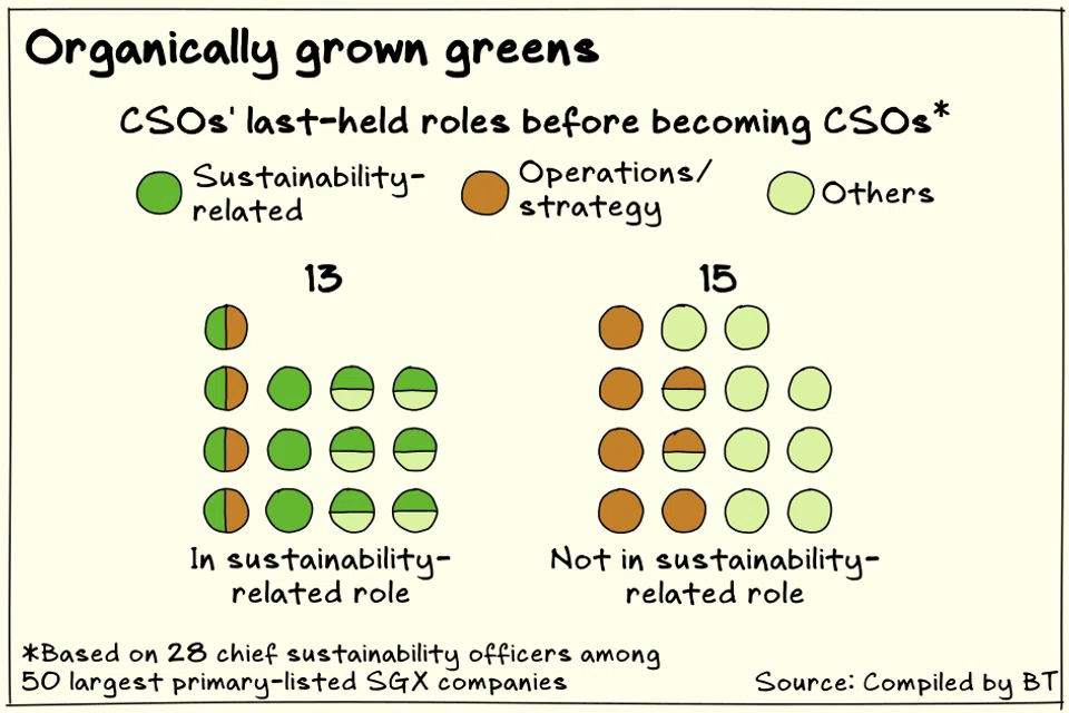 Prior experience in sustainability or in operations and strategy appear to be equally common among the chief sustainability officers of Singapore’s largest listed companies.