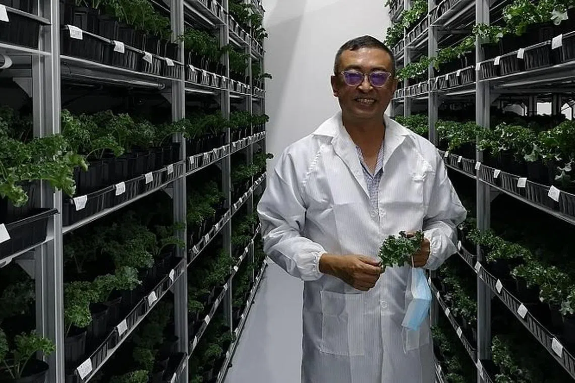 GKE Corp to expand agriculture operations with newly obtained farm licence