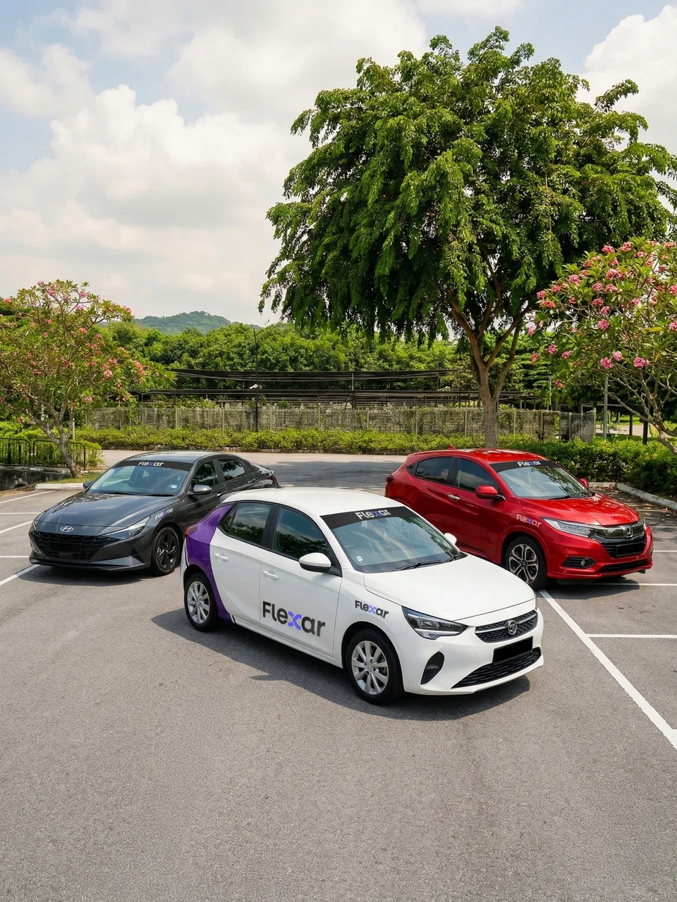 Flexar提供电动或内燃机驱动的车辆。