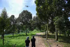 Workers using a drone to spray pesticide on durian trees at the Top Fruit durian farm in Batu Pahat on April 26, 2022. 