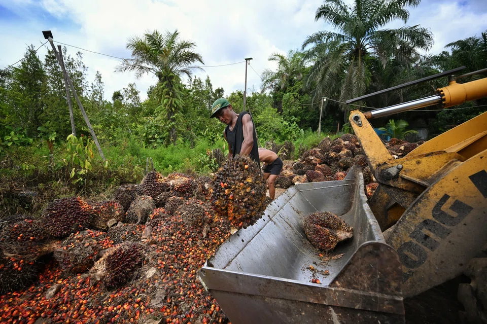 In November, palm oil shipments from Indonesia managed a modest growth of just 2.2%.