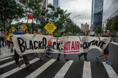 Multinational investment company BlackRock has slashed its support for social and environmental shareholder proposals.