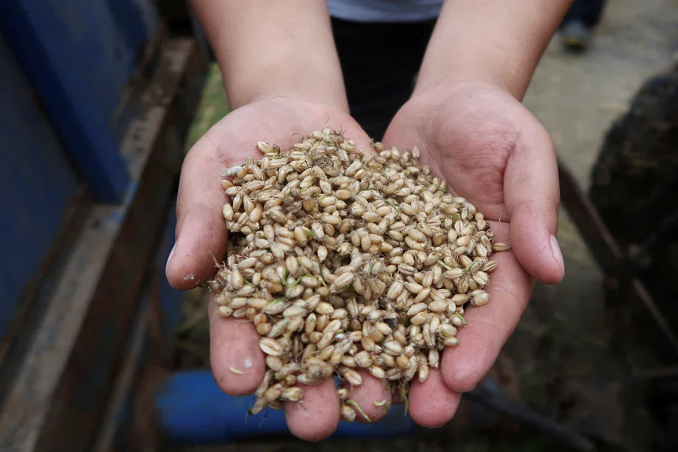Wheat buyers in Asia, Africa and the Middle East, which account for two-thirds of global imports of the staple, have been caught out with relatively little supply after the weather disruptions that unexpectedly sent prices surging from April.