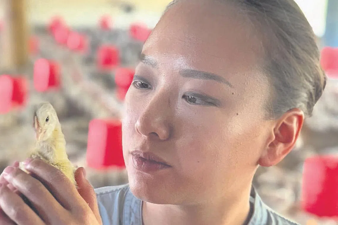 Building a social enterprise from scratch