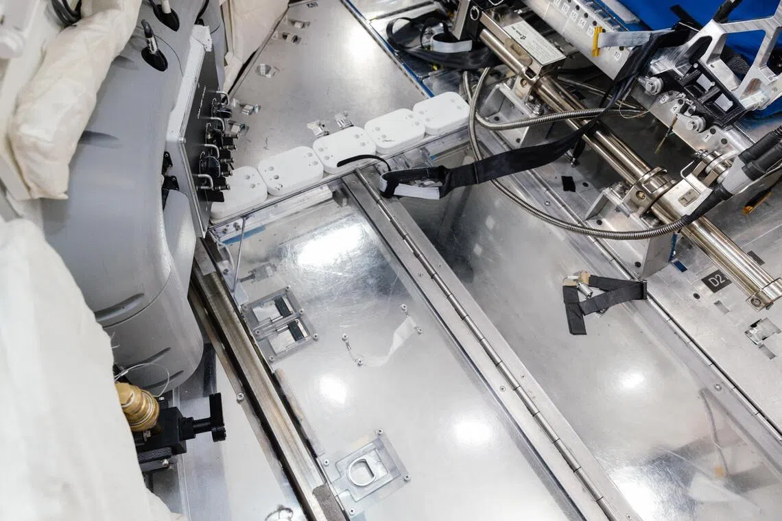 A replica of the toilet aboard the Artemis II, used for training at the Johnson Space Center, Houston. The Universal Waste Management System comes equipped with a funnel and hose for urination, and there is a seat with a hole for bowel movements.
