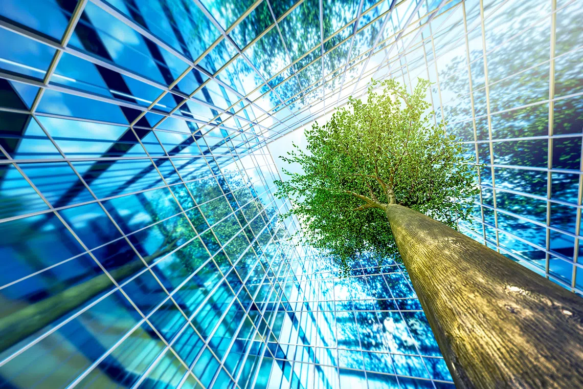 South-east Asia’s reliance on climate-sensitive sectors and rapid urbanisation makes it particularly vulnerable to the effects of climate change. 