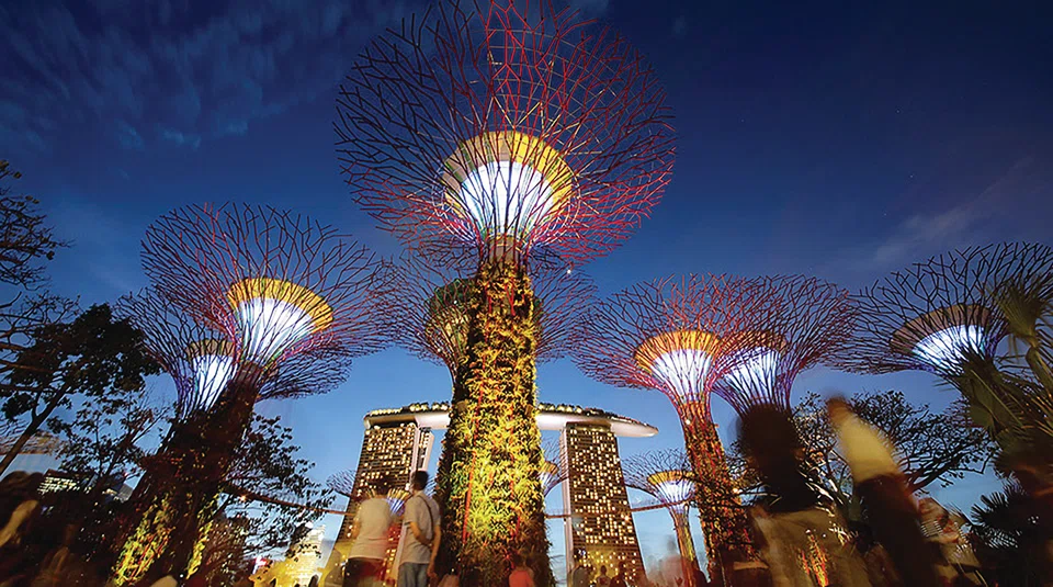 Supertrees at Supertree Grove.