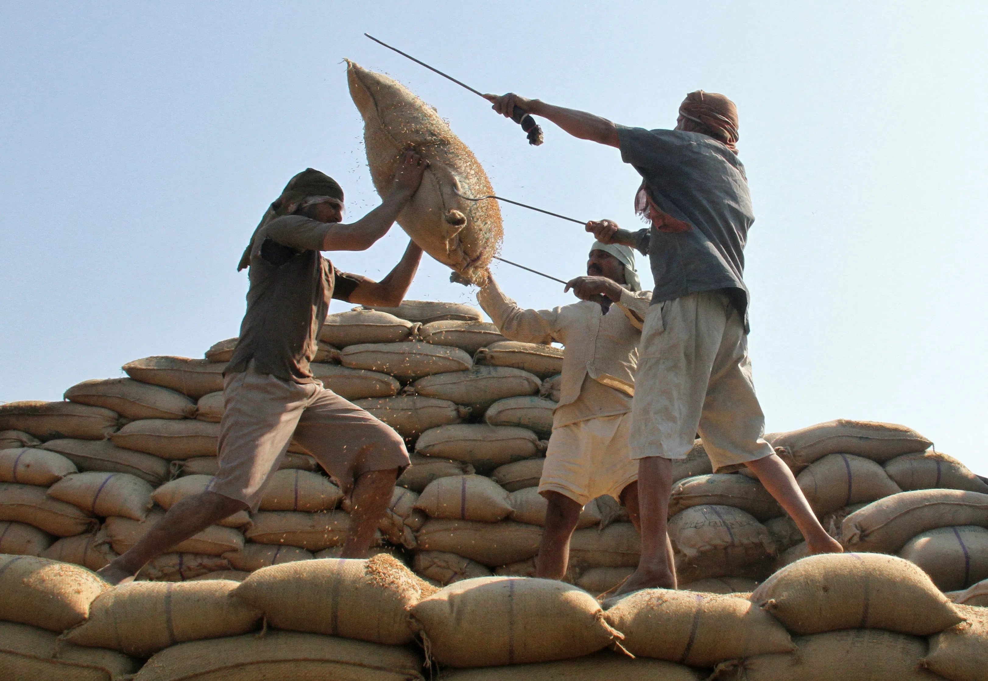 India's rice stocks surge to record high, boosting export prospects ...