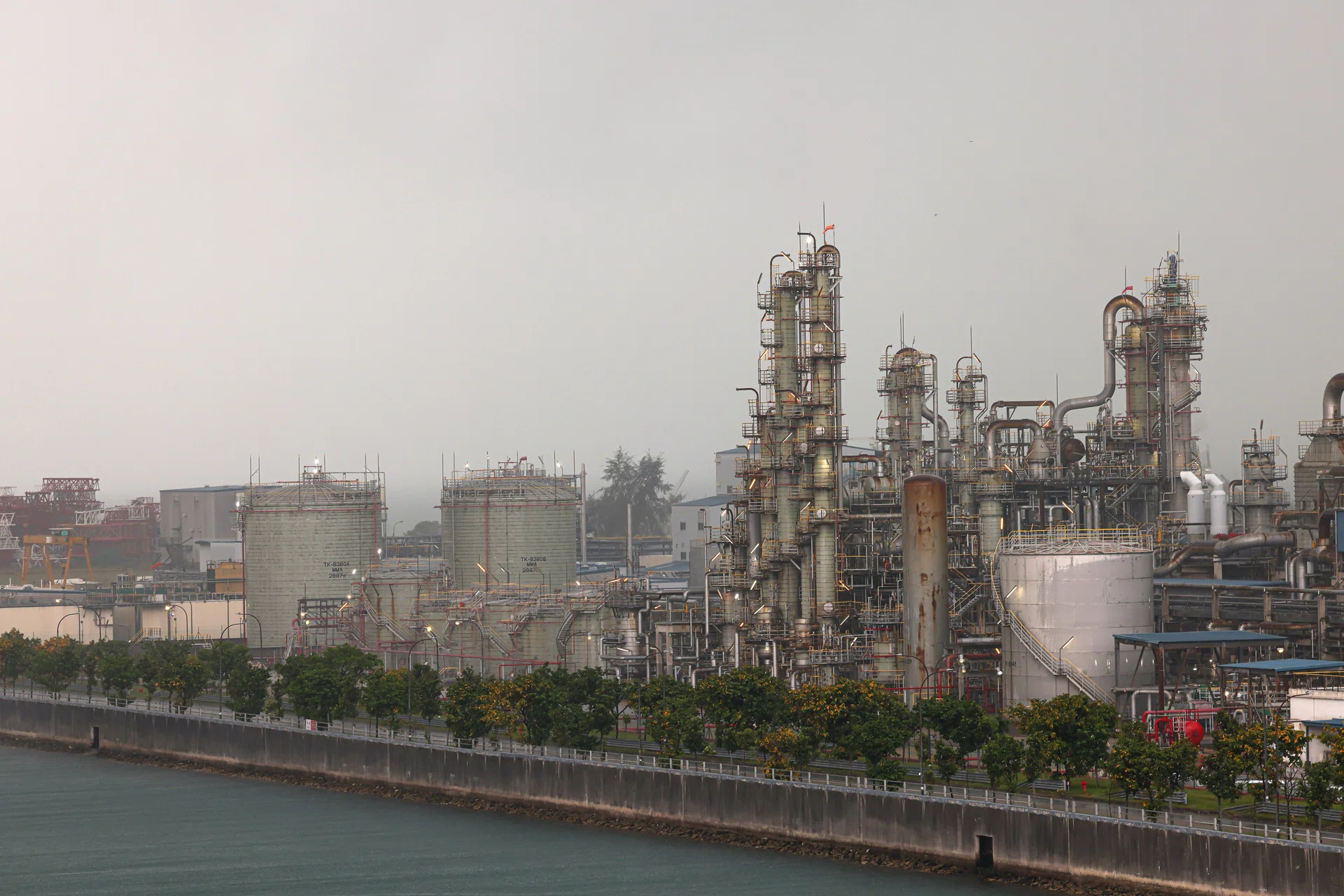 Key exports to most of Singapore’s top 10 markets grow year on year