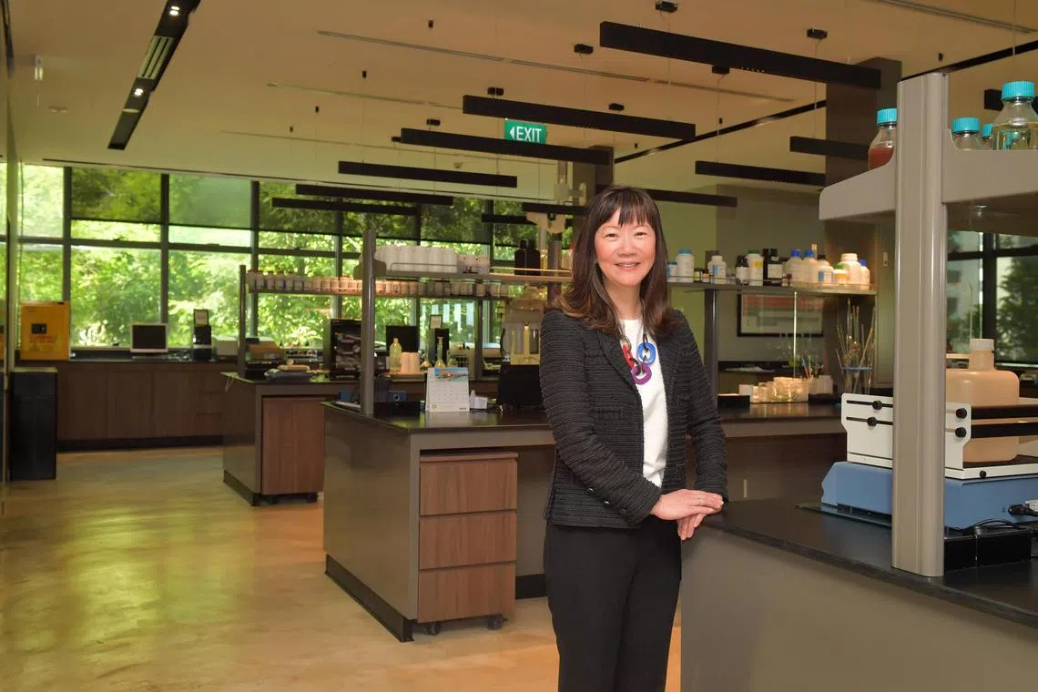 May Ng has stepped down as CEO of Pan-United after 13 years at the helm, but has been appointed executive chairman of the board.