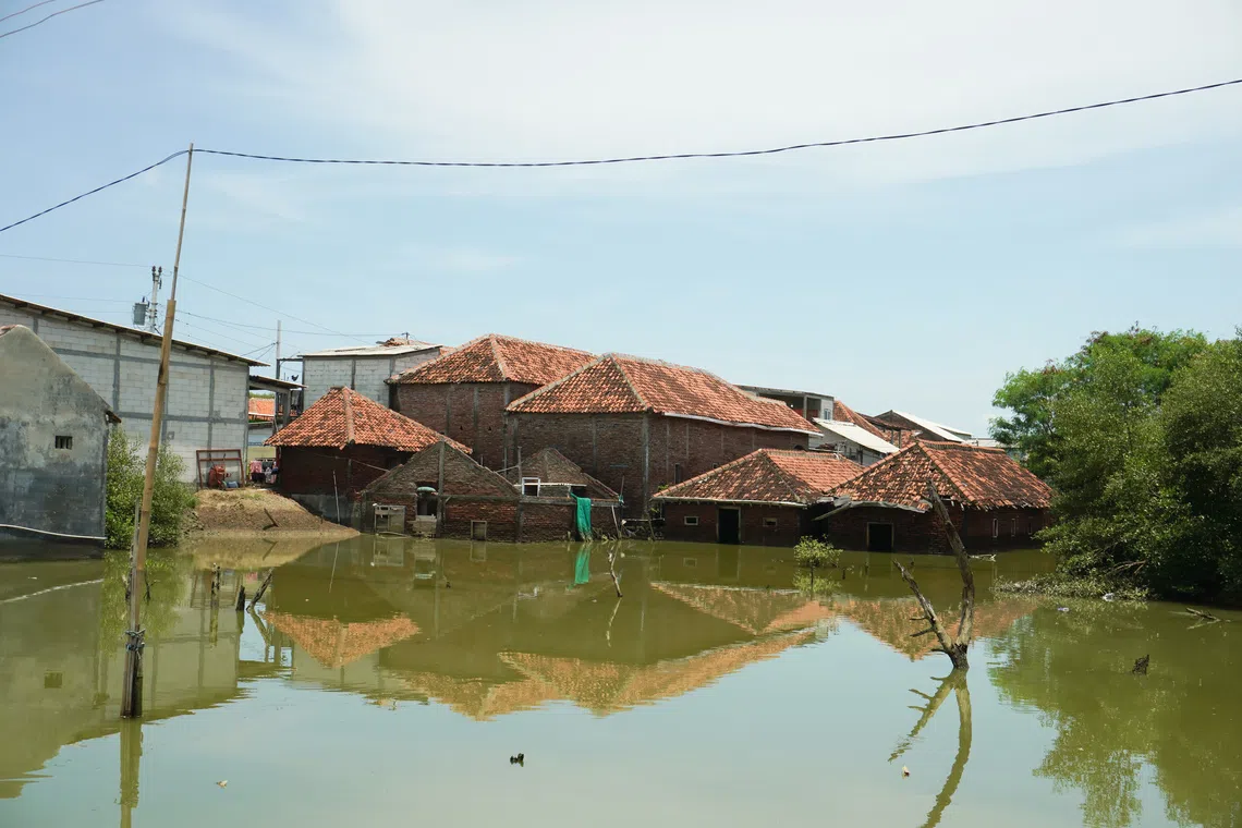In Demak alone, three villages have been lost to rising waters in the past decade, with one completely submerged last year, forcing more than 100 families to relocate.