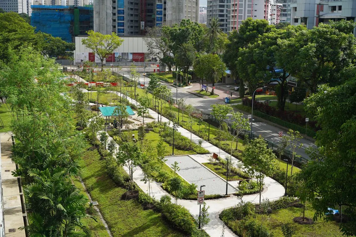 Singapore is one of the world’s greenest cities, with 7,800 hectares of green space. Its green cover is over 40 per cent, earning it the moniker “City in a Garden”.