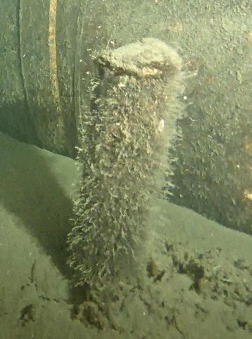 The Danish energy agency said it is “possible” that the object is a maritime smoke buoy, 40 centimetres tall and 10 cm wide, and that it “does not pose an immediate safety risk”. 