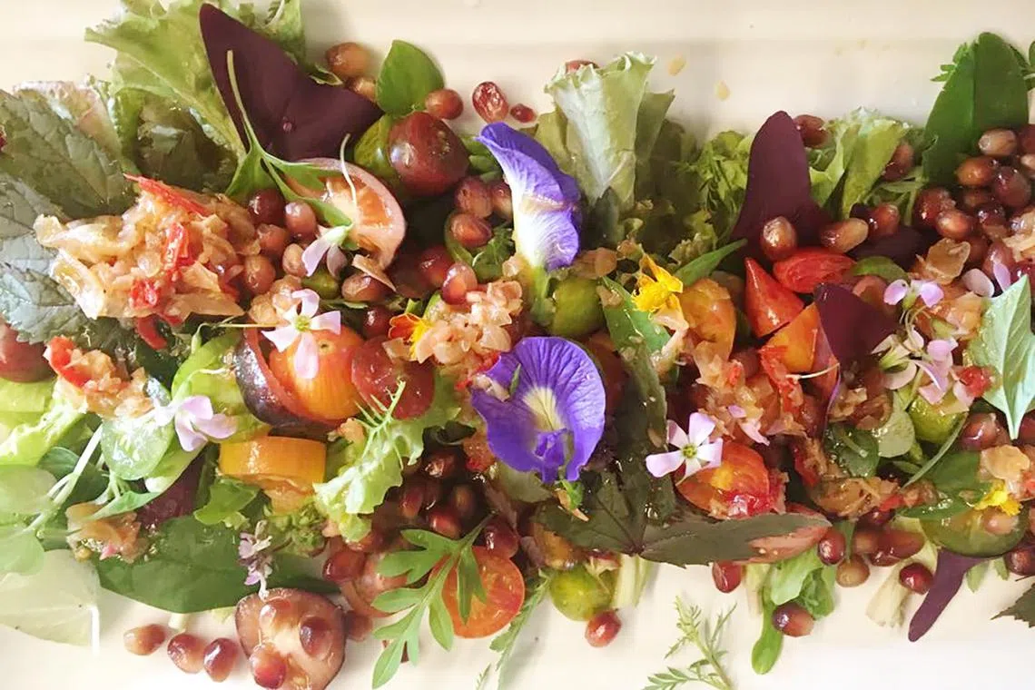 hygreen21 - Culinary delights that have low carbon footprint

Credit : Orang Laut/Myristica Hill