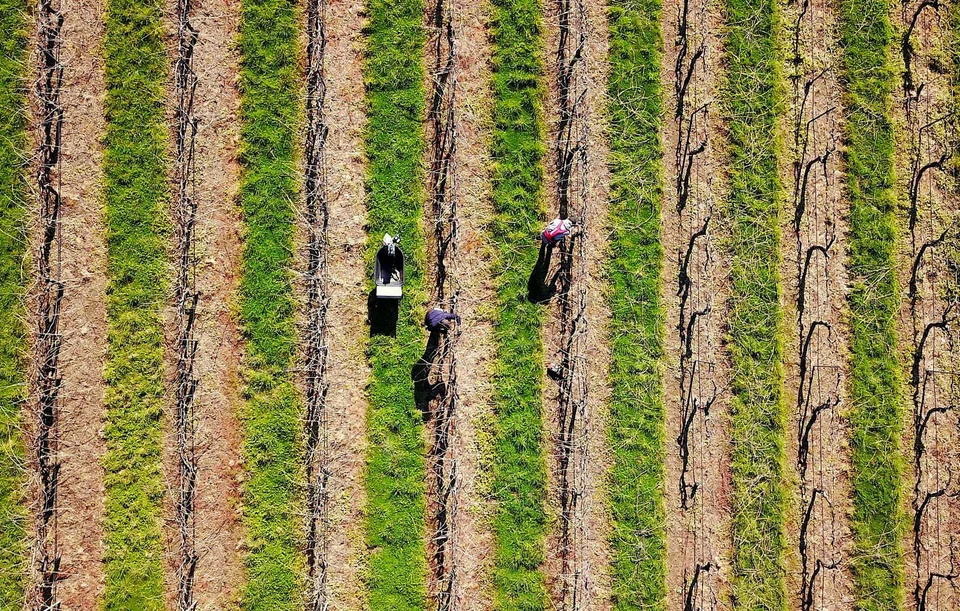 The new facility is meant to complement the existing webs of multilateral currency swaps known as Chiang Mai Initiative Multilateralisation which can be used during times of crisis.