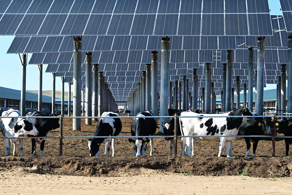 The Asia-Pacific region accounts for a majority of global greenhouse gas emissions but it also contributes significantly to low-carbon and green innovation.