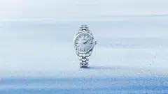 Inspired by windswept snow beneath a clear winter sky, the SBGX361 Skyflake's pale blue tone captures a gentler aspect of Shinshu in winter.