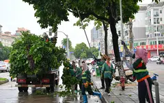 Workers cut redundant branches of trees ahead of the landfall of typhoon Yagi in Haikou, south China's Hainan Province.