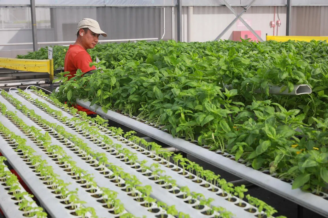 Local farms can use the ACT fund for energy audits and upgrading capabilities to be more energy-efficient.