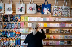 Domestic producers face the challenge of a stronger US dollar that risks depressing export demand. 