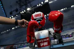 Unitree will file documents on its business activities to the exchange between October and December.