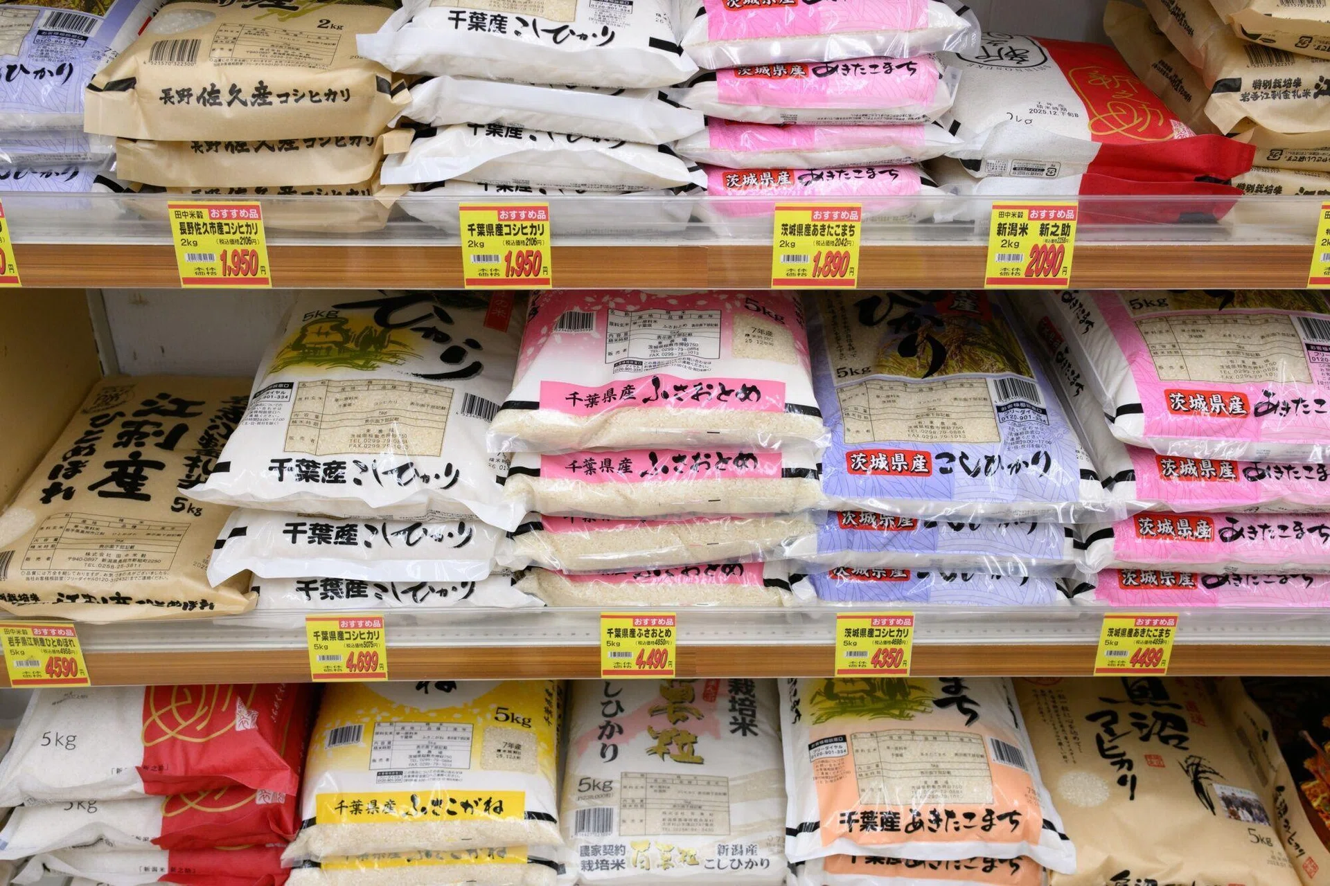 Japan households expect prices to keep rising: central bank survey