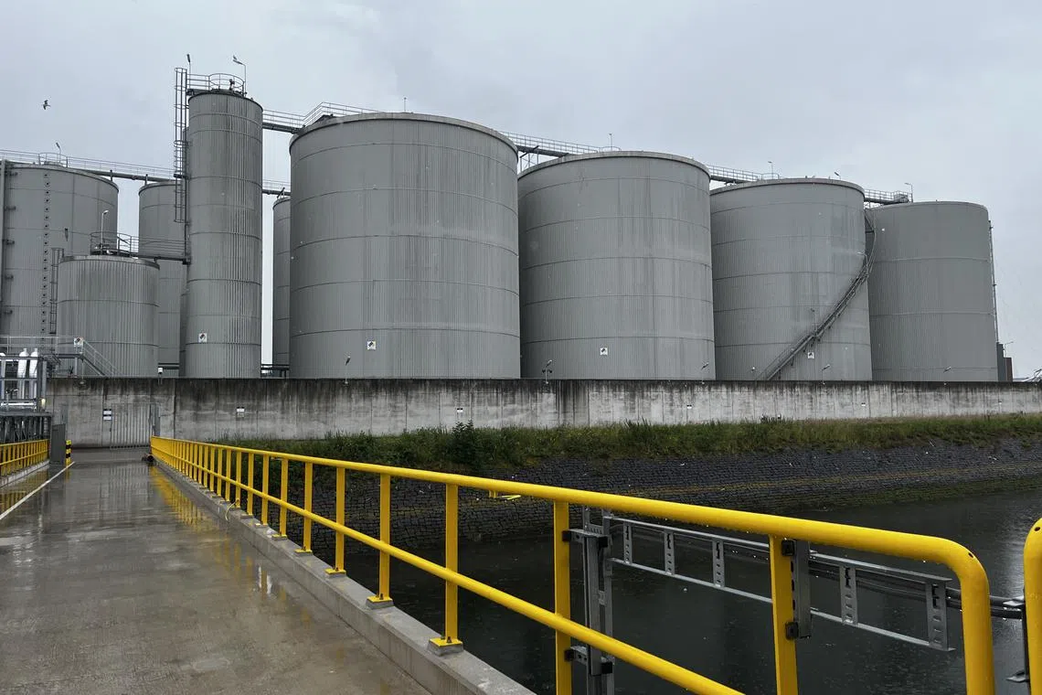 Wilmar Oleochemicals, located in the Port of Rotterdam, produces ingredients that are ultimately used in products such as detergent and shampoo.