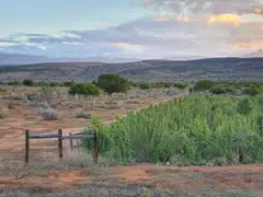 Full-scale restoration, which includes replanting native thicket across the land area, is expected to sequester more than 30 million tonnes of carbon dioxide over its lifespan.