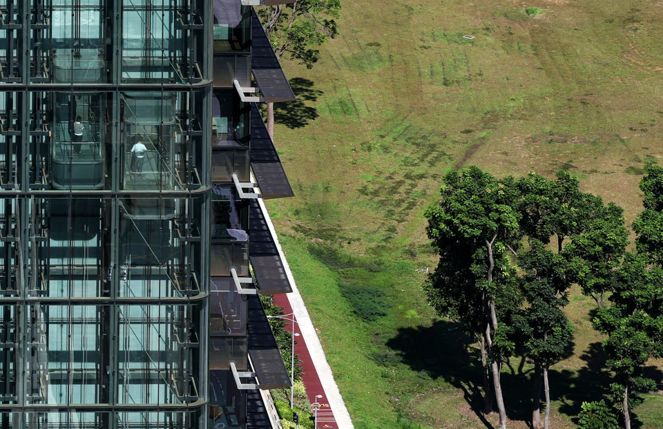 Generic photo for stories pertaining to environmental, social and governance (ESG) and Singapore commitment to sustainability