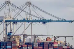 Following a post-holiday pickup in participation, the Pacific basin remained under consistent pressure.