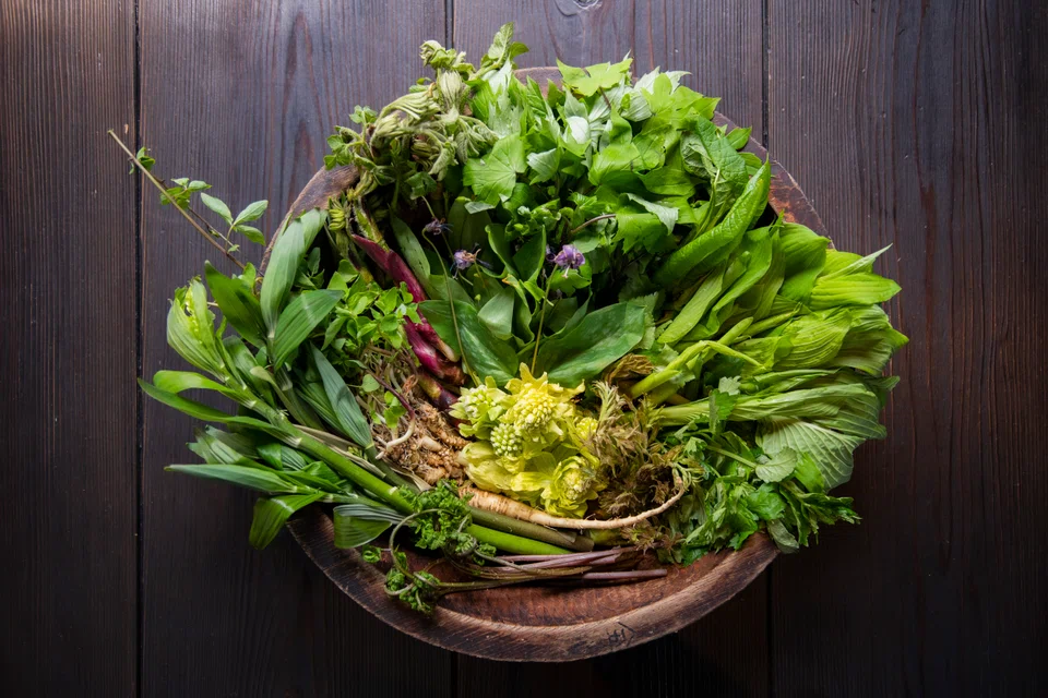 A harvest of mountain greens.