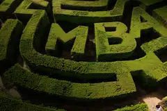 Despite the high tuition fees, MBAs carry significant appeal due to the prospect of increased earnings post-graduation.