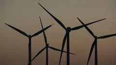 Philippines trade department is looking for investors in solar and wind energy, Trade Secretary Alfredo Pascual said. 