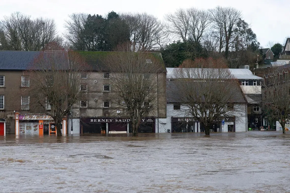 Nongovernmental organisations and scientists have long argued that defending nature and biodiversity is a way for companies to protect themselves from risks like extreme heat and flooding.